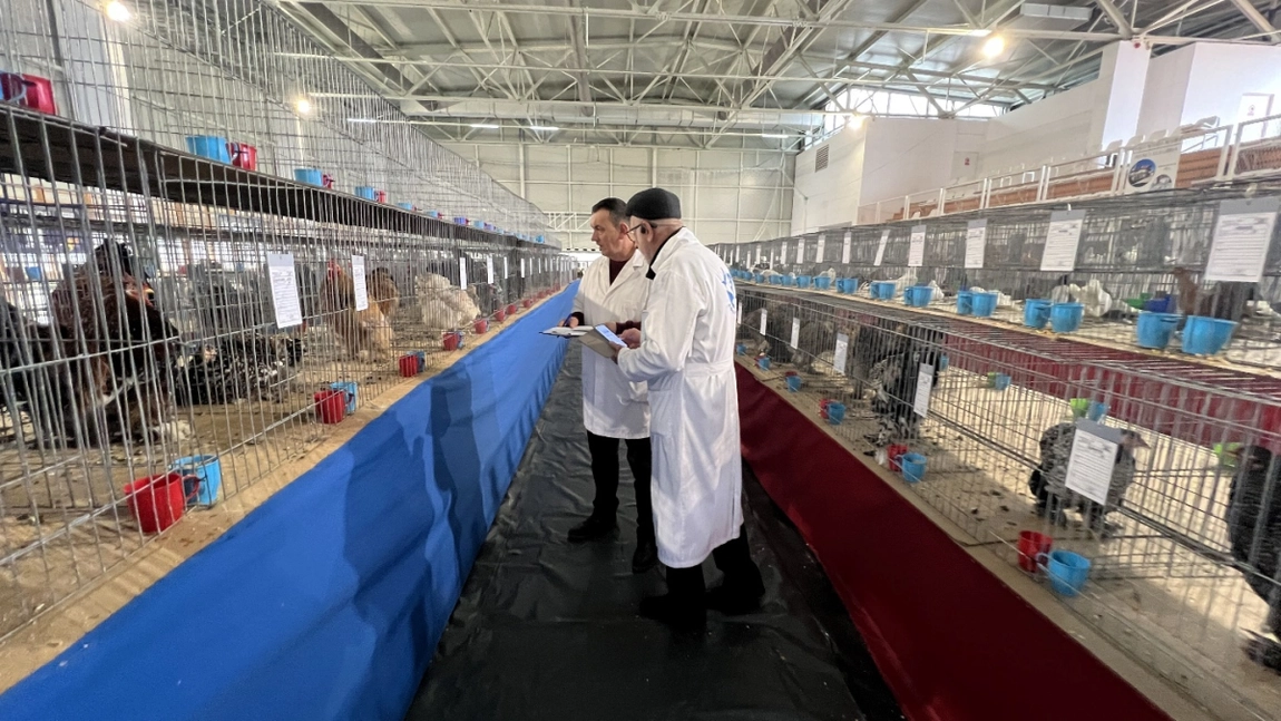 Peste 2.000 de ieșeni au fost prezenți la Expoziția de Păsări și Animale de la Holboca. Evenimentul ajuns la a 24-a ediție și a avut un adevărat succes