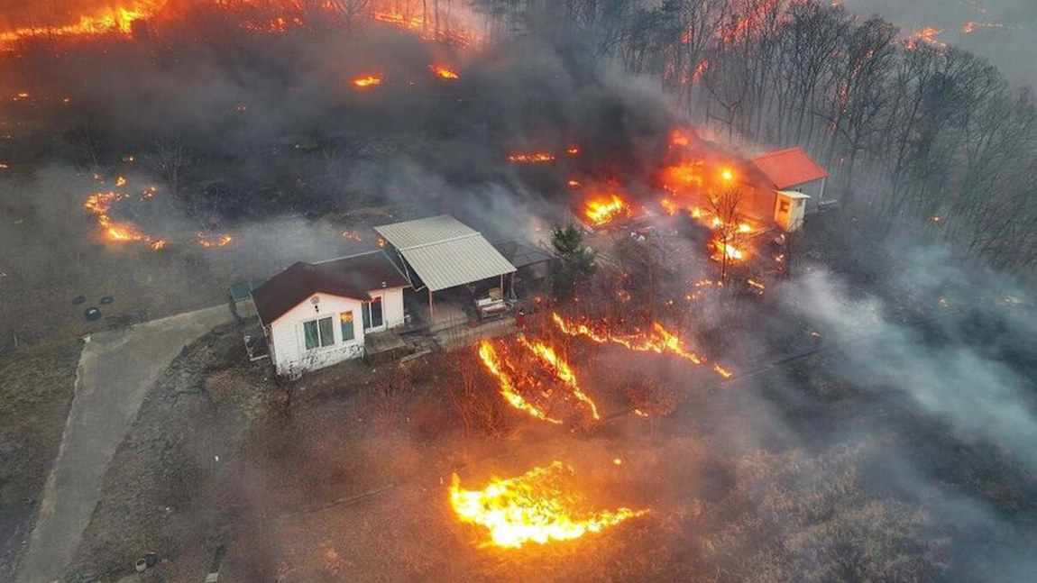 Incendii devastatoare în Coreea de Sud: Zeci de morți, evacuări în masă și un elicopter prăbușit în mijlocul infernului