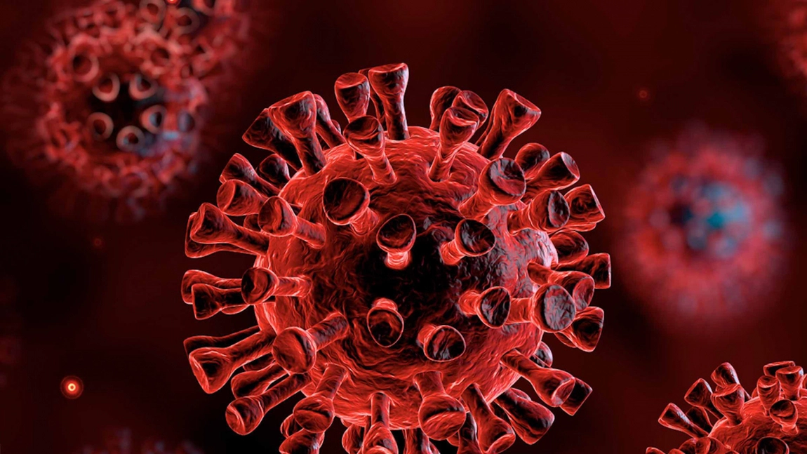 Descoperire alarmantă! Un nou coronavirus asemănător cu MERS, identificat la liliecii din Brazilia