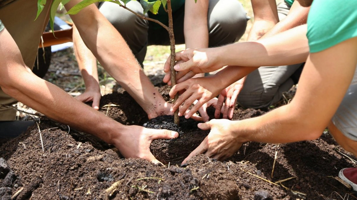 Vrei să plantezi un copac în acest weekend? Direcția Silvică Iași organizează mai multe evenimente pentru iubitorii de natură