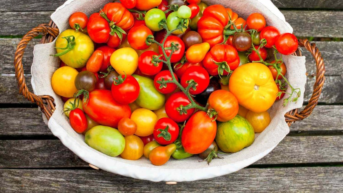 Cum și când să plantezi răsaduri de roșii românești! Iată care sunt cele mai cunoscute soiuri!