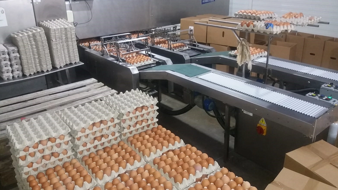 Avertisment fără precedent pentru producătorii de ouă înainte de Paște