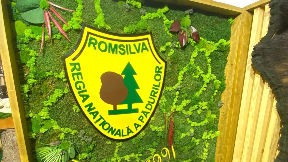 Trei directori de la RomSilva au fost dați afară. Ocupau funcții în Arad, Caraș Severin și Maramureș