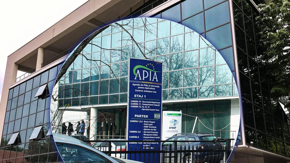 Bani pentru acești ieșeni care depun documentele la APIA. Ajutoarele financiare sunt importante și se acordă o singură dată pe an