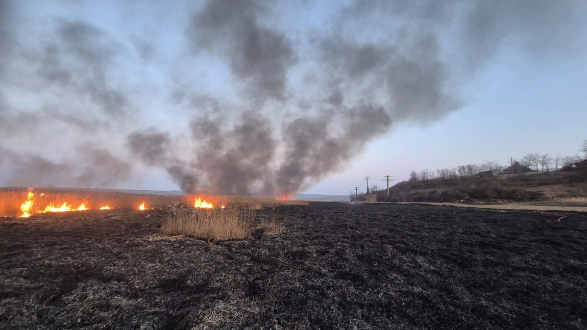 Atenție, dacă terenul agricol este incendiat! Fermierii din Iași pot să piardă subvențiile de la APIA