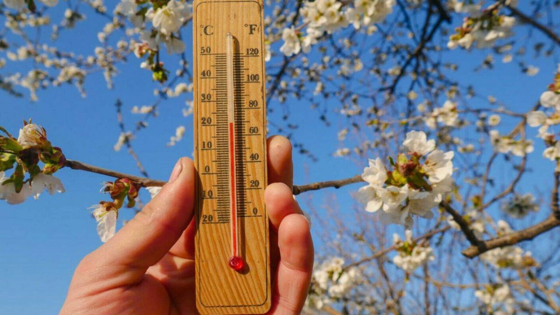 Vine o primăvară neobișnuită! Martie aduce temperaturi ridicate și ploi neprevăzute