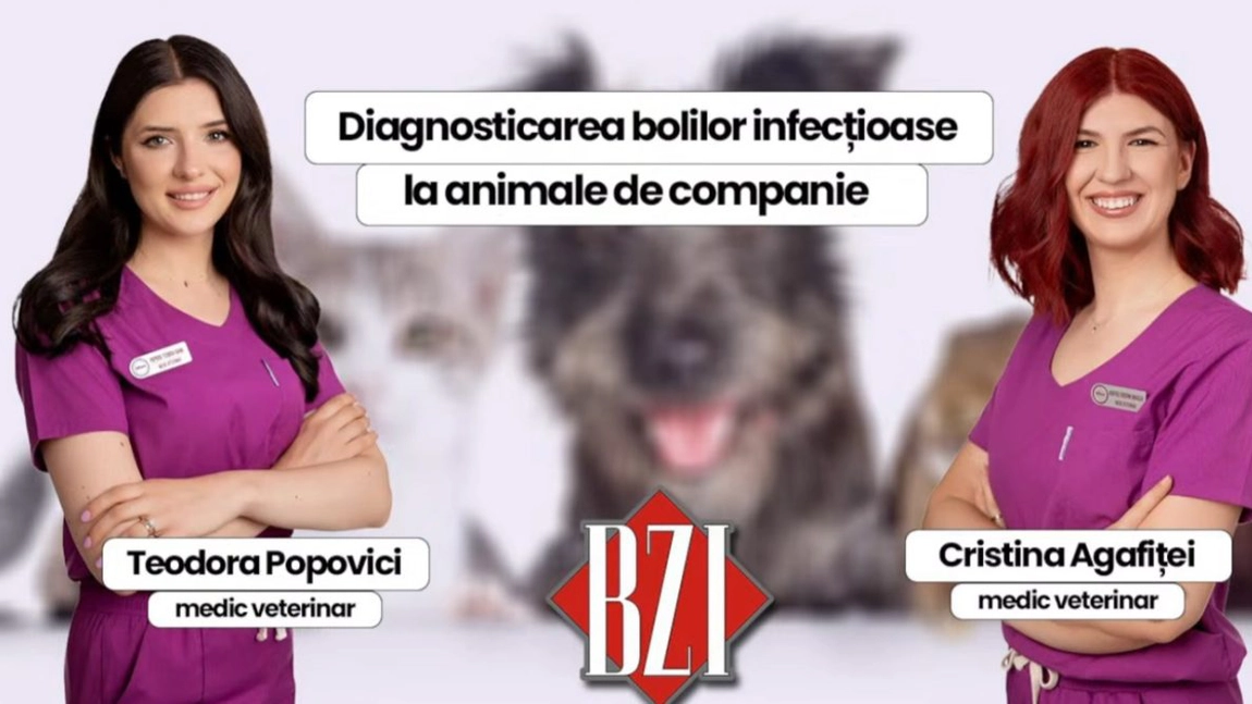 LIVE VIDEO - Diagnosticarea bolilor infecțioase la animale de companie. Teodora Popovici și Cristina Agafiței, medici veterinari, discută despre tratamente la BZI LIVE