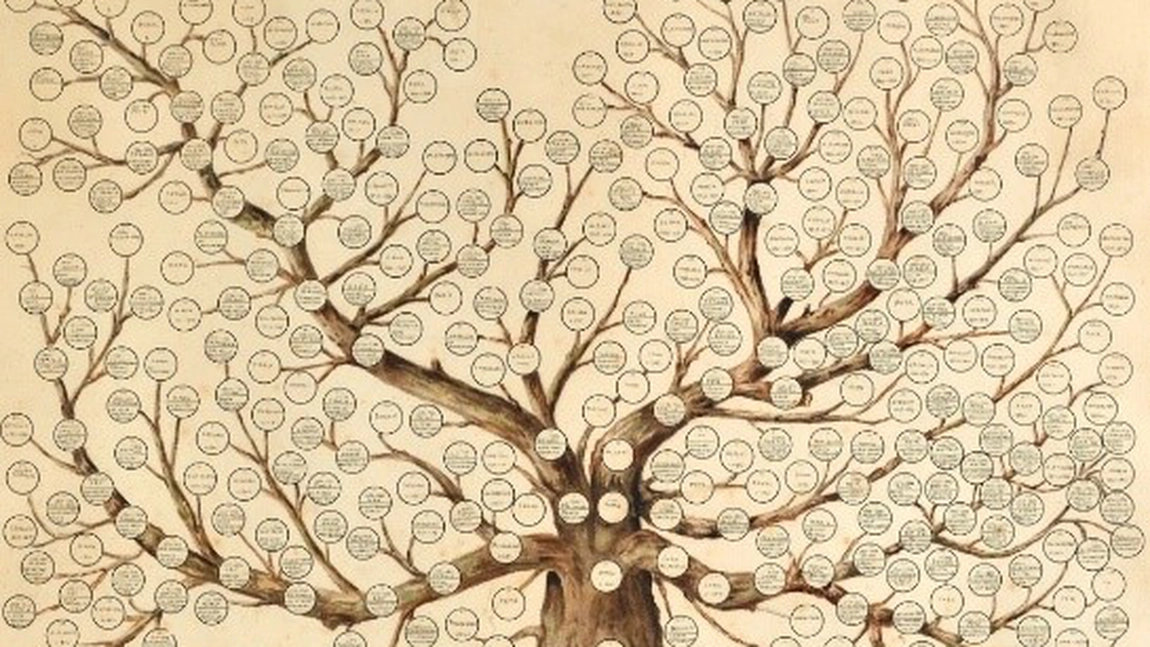 Fiecare arbore genealogic ascunde povești. Iată cum poți afla povestea propriei tale familii