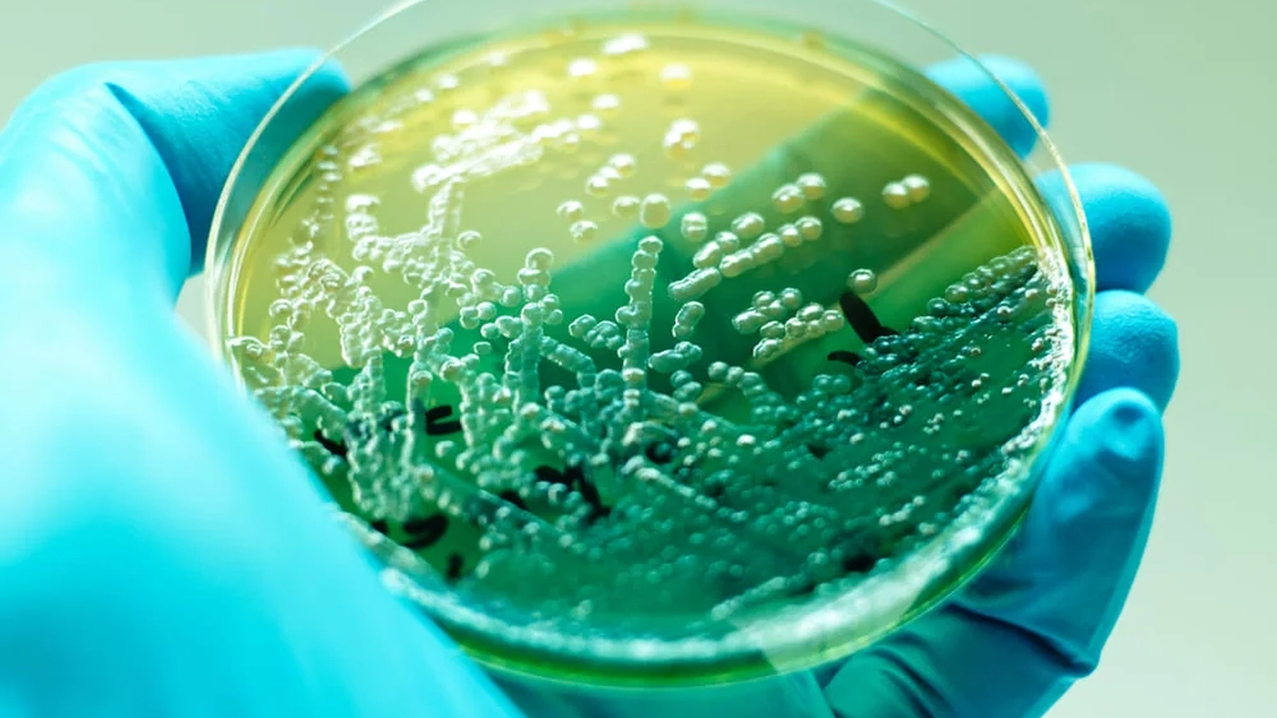 Alertă sanitară! Spitalul de Pediatrie rămâne contaminat cu bacilul Piocianic. Ce măsuri se vor lua