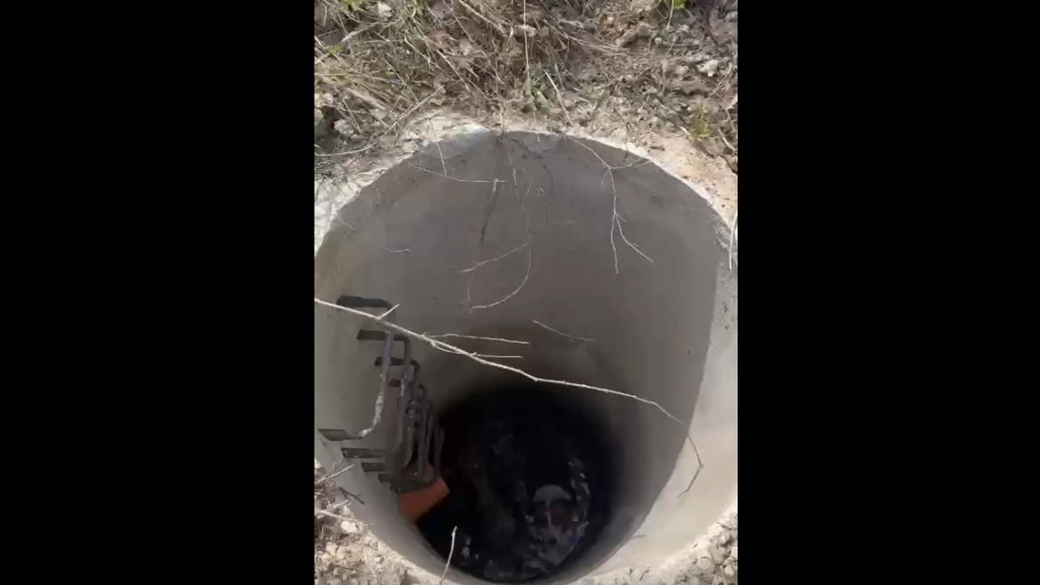 Operațiune de salvare a doi câini dintr-un canal. Pompierii ieșeni intervin