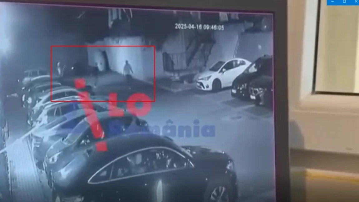 Dosar penal pentru tinerii care au urmărit mai multe căprioare în Copou. Scenă care a stârnit indignare în spațiul public