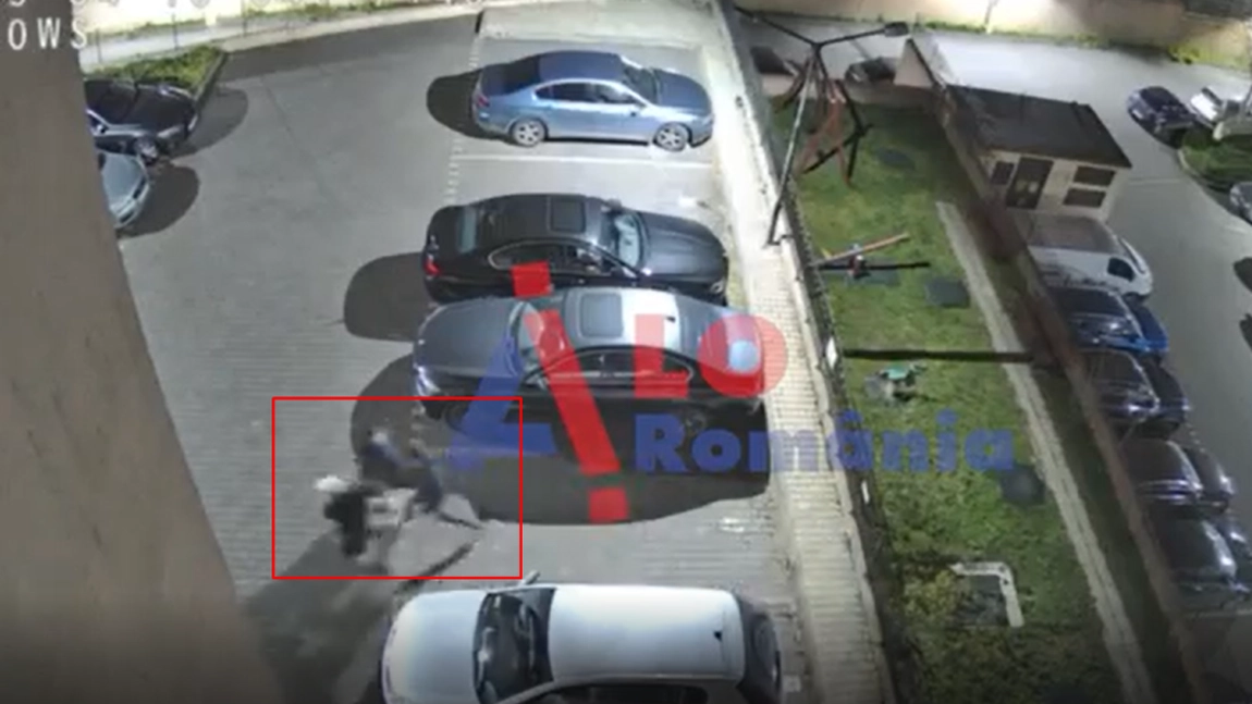 Două căprioare hăituite în Copou. Poliția din Iași s-a autosesizat în urma unor imagini șocante