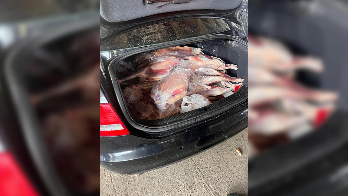 Peste 150 de unități de alimentație, verificate de inspectorii DSVSA Iași. Ce nereguli s-au descoperit