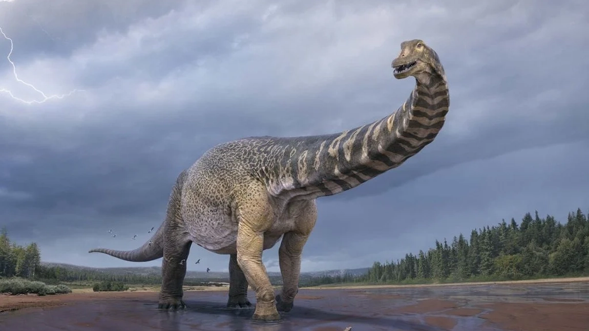 Fosila de dinozaur găsită în Bulgaria ar putea rescrie istoria! Ce au descoperit cercetătorii te va lăsa fără cuvinte