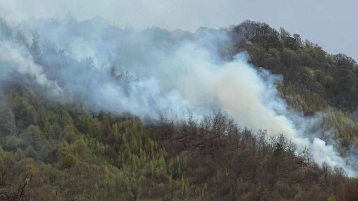 Cauza incendiului din zona localităţii Cetăţeni, stins după cinci zile. Zeci de pompieri s-au luptat cu flăcările