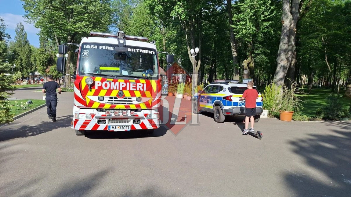 Incident în municipiul Iași! O creangă a căzut peste doi trecători în parcul Copou - UPDATE