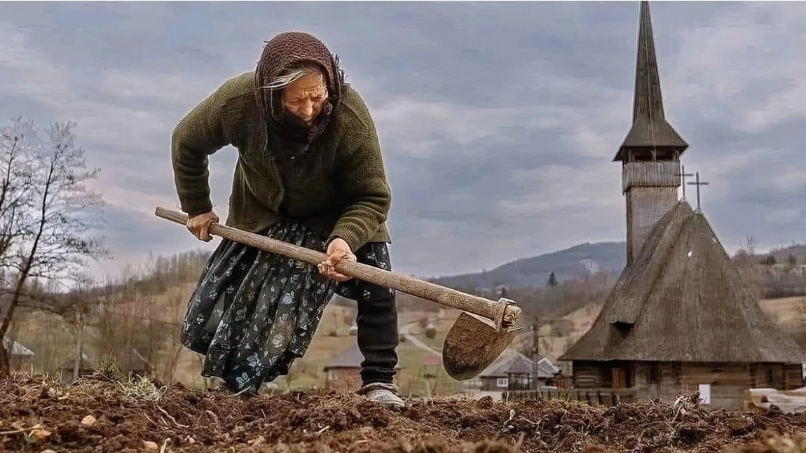 100.000 de lei amendă a primit un român că a făcut un lucru banal în propria curte