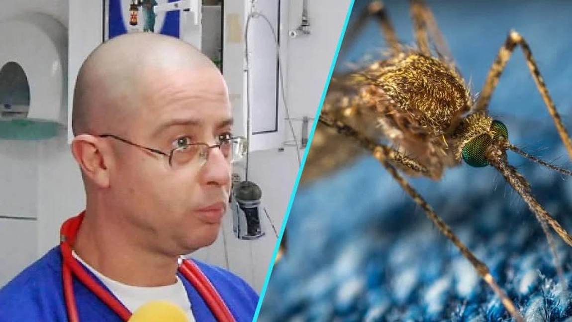 Dr. Tudor Ciuhodaru, despre pericolul înțepăturilor de țânțari: „Nu neglijați aceste insecte”