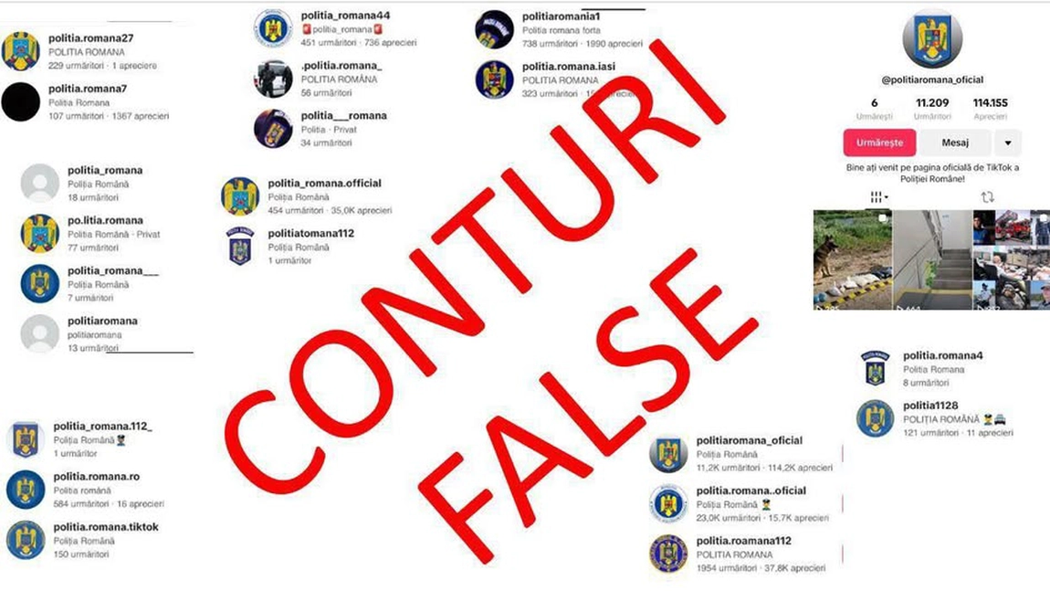Eliminarea a peste 160 de conturi TikTok care utilizau ilegal însemnele Poliției Române