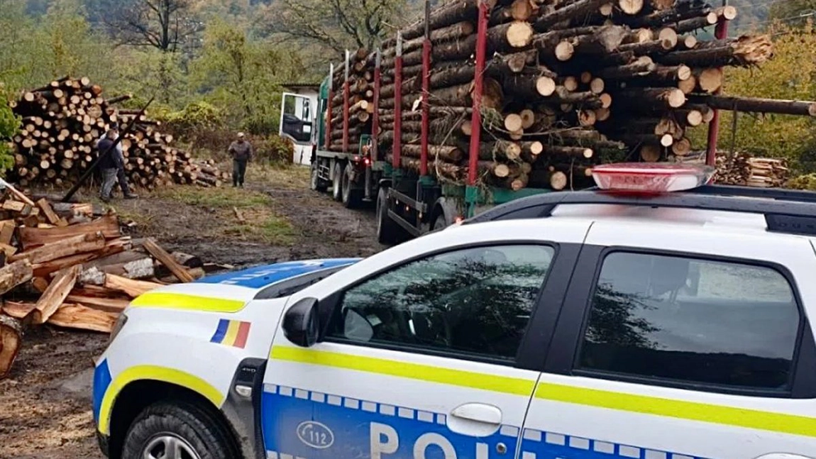 Poliția și Garda Forestieră Suceava în Acțiune Intensă pentru Aplicarea Legii