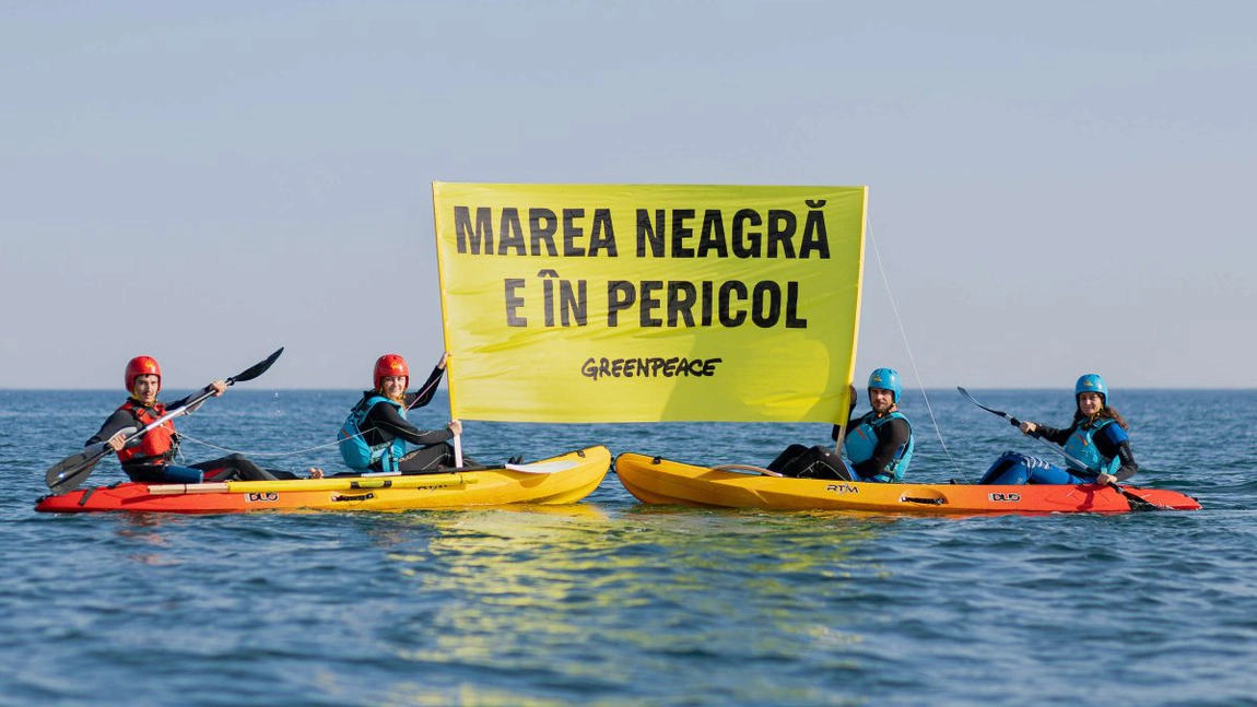 ROMGAZ a luat decizia de a solicita în instanță dizolvarea fundaţiei Greenpeace