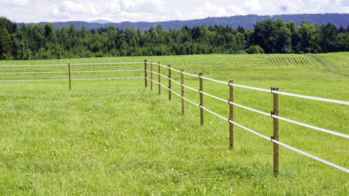 Se dau ajutoare financiare pentru montarea gardurilor! Ce români pot primi banii