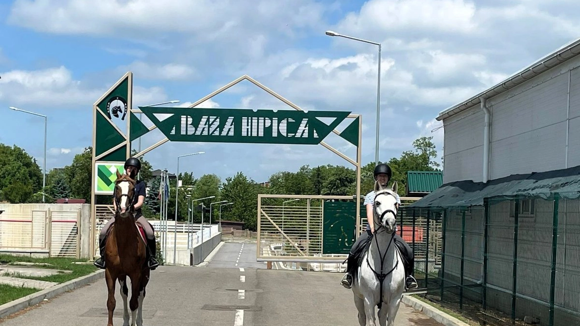 Caii USV Iași, în plimbare prin campus