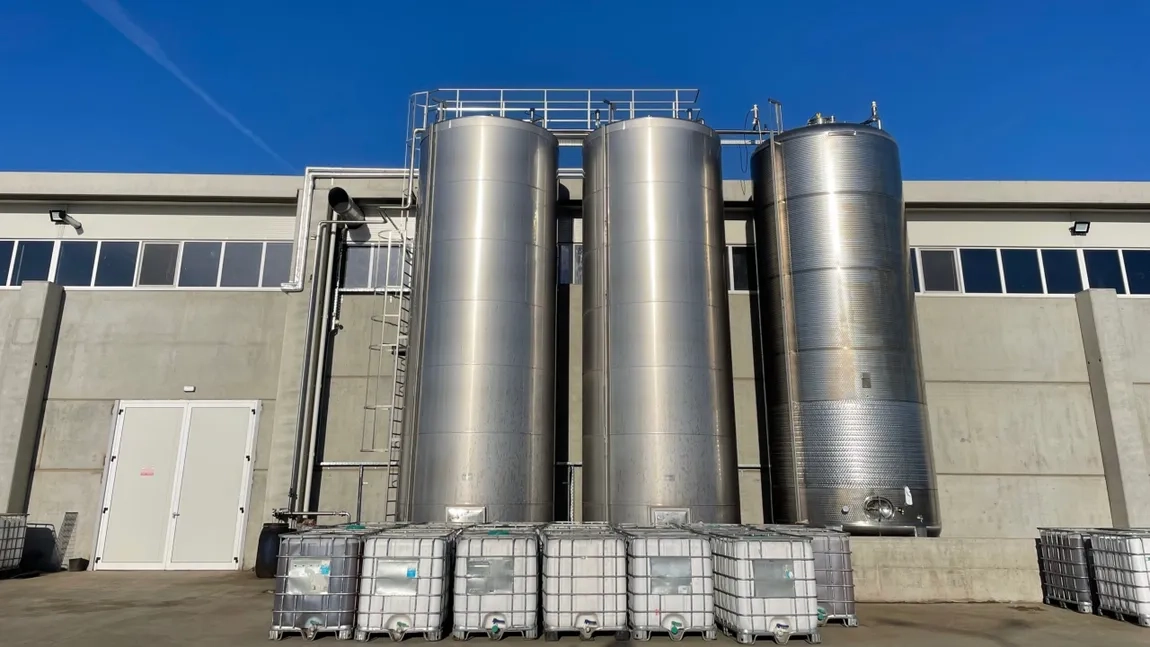 Noi locuri de muncă în România! O fabrică de ulei de 45 de milioane de euro va fi construită de 21 de fermieri 