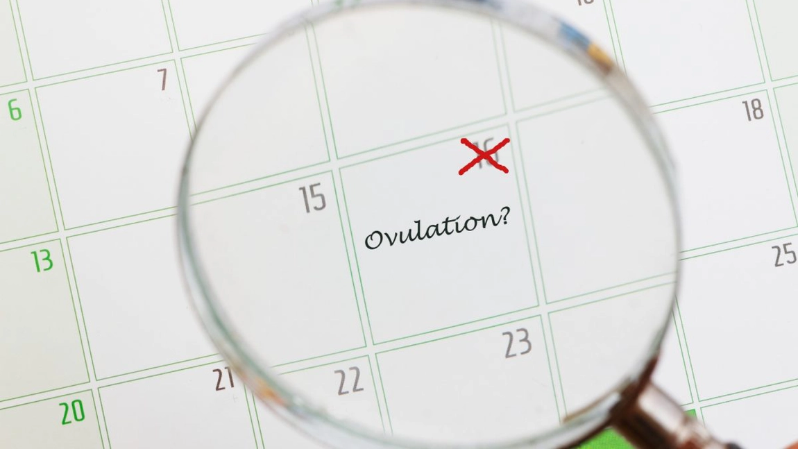 Metoda calendarului și identificarea perioadei fertile. O planificare naturală a sarcinii