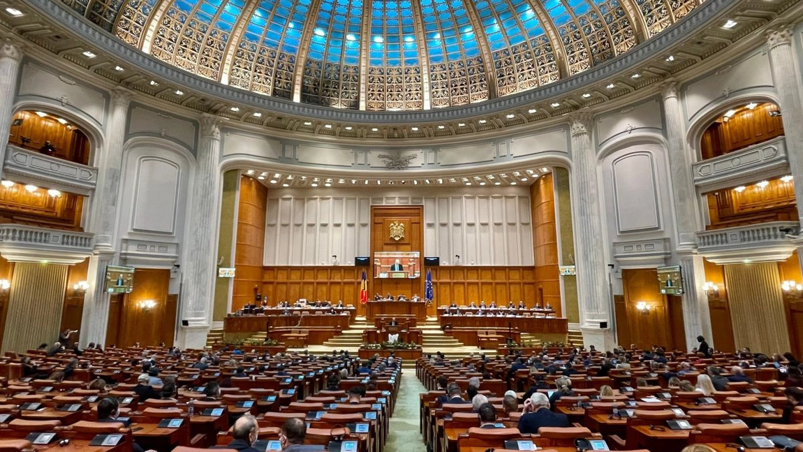 Camera Deputaților a cumpărat 40 de perii pentru unghii! Senatul României a cumpărat pixuri la 1.000 de lei bucata
