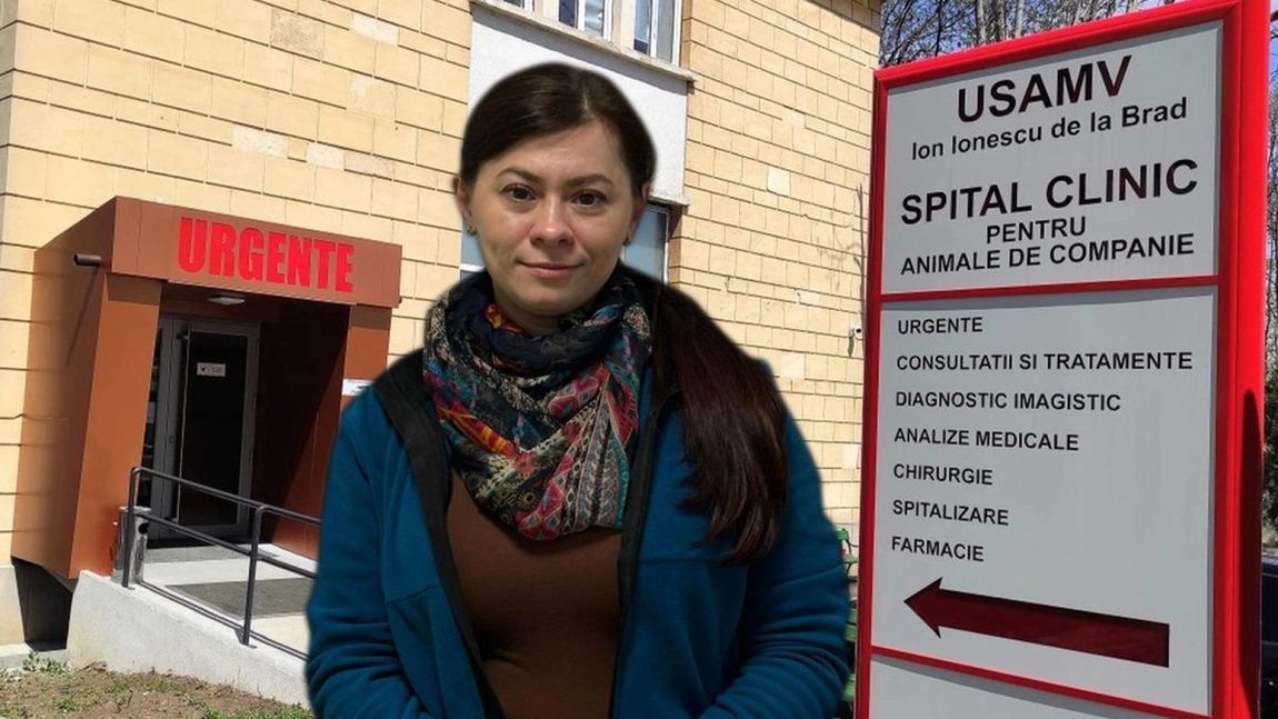 Țânțarii și căpușele, un pericol real pentru animalele din Iași! Dr. Paula Maria Pașca, medic veterinar, explică ce riscuri ascund insectele și cum putem preveni îmbolnăvirea gravă a câinilor