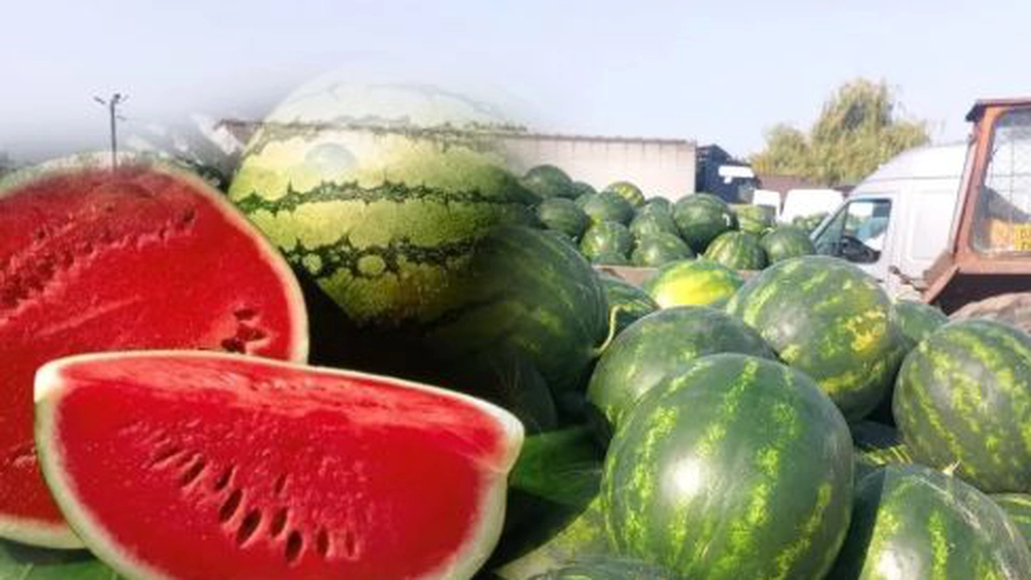 Mare atenție la ce mâncați! Pericol de paralizie sau moarte de la pepenii de la tarabe!