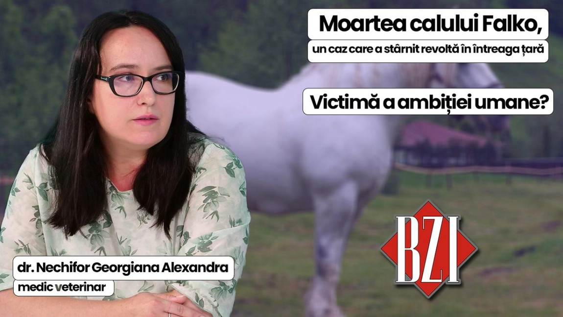LIVE VIDEO - Despre moartea calului Falko, un caz care a stârnit revoltă în întreaga țară, în emisiunea de sănătate BZI LIVE, unde dr. Georgiana Alexandra Nechifor, medic veterinar, va explica din punct de vedere medical ce ar fi putut să îi cauzeze moartea acelui cal folosit în concurs