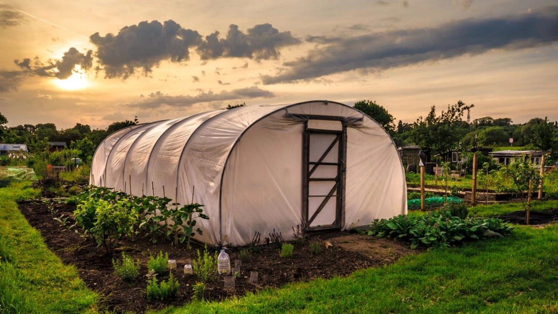 Autorizație pentru solar de legume! Puțini români știu asta. Amenzile sunt uriașe! 