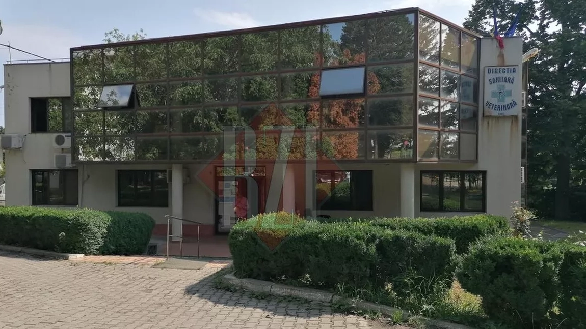 Controale intensificate ale DSVSA Iași în luna mai. Ce nereguli au fost constatate și ce sancțiuni au aplicat inspectorii