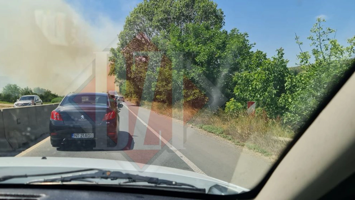 Incendiu de vegetație uscată, în Valea Lupului. Pompierii intervin