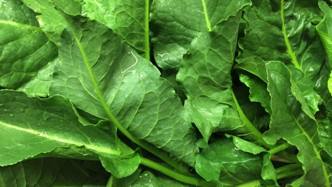 Ce beneficii au semințele de ștevie? Iată cum le poți folosi pentru sănătate