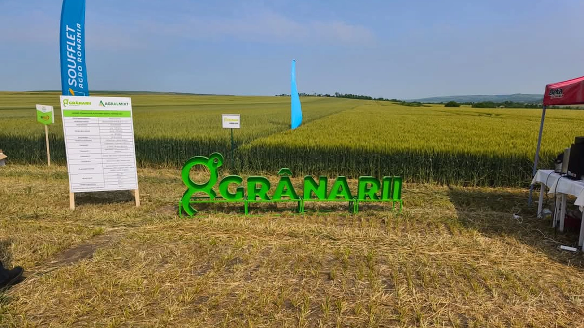 Ziua Grâului Andrieșeni 2025 – dialog, inovație și solidaritate în câmpul performanței agricole