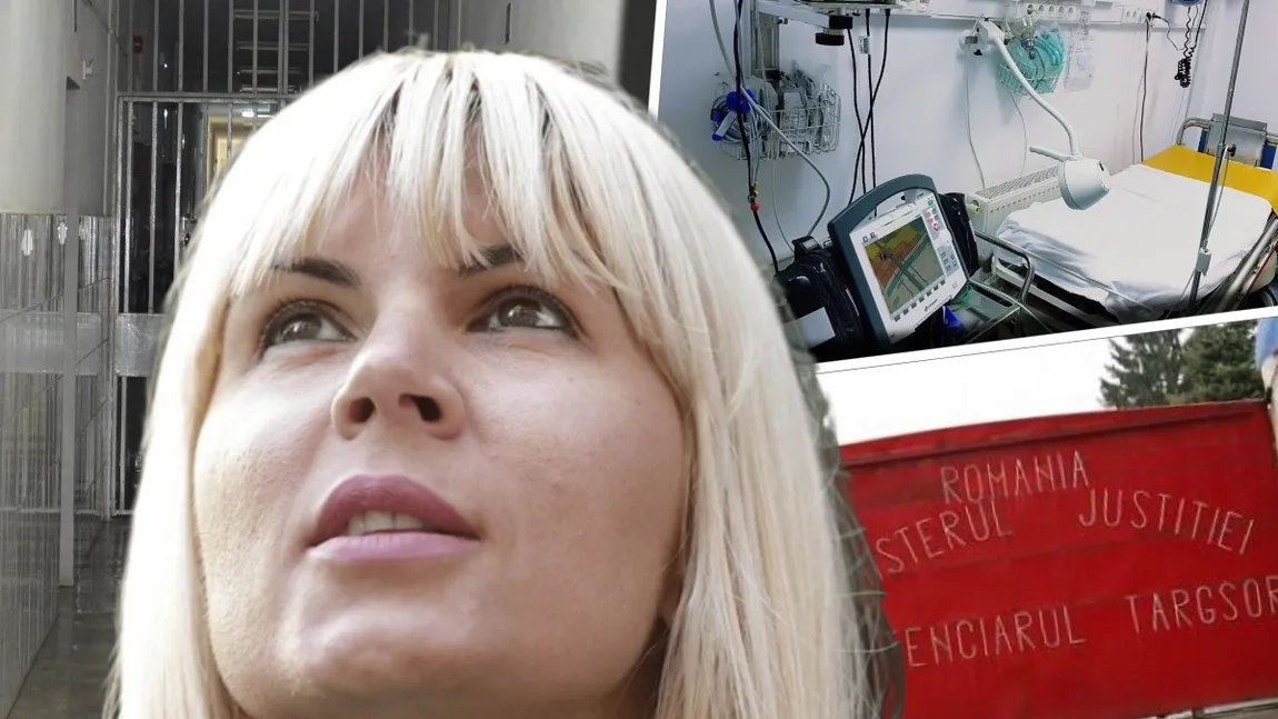 Elena Udrea, fostul ministru al Turismului, nu a revenit la Penitenciarul Târgșor. Care este starea de sănătate a acesteia