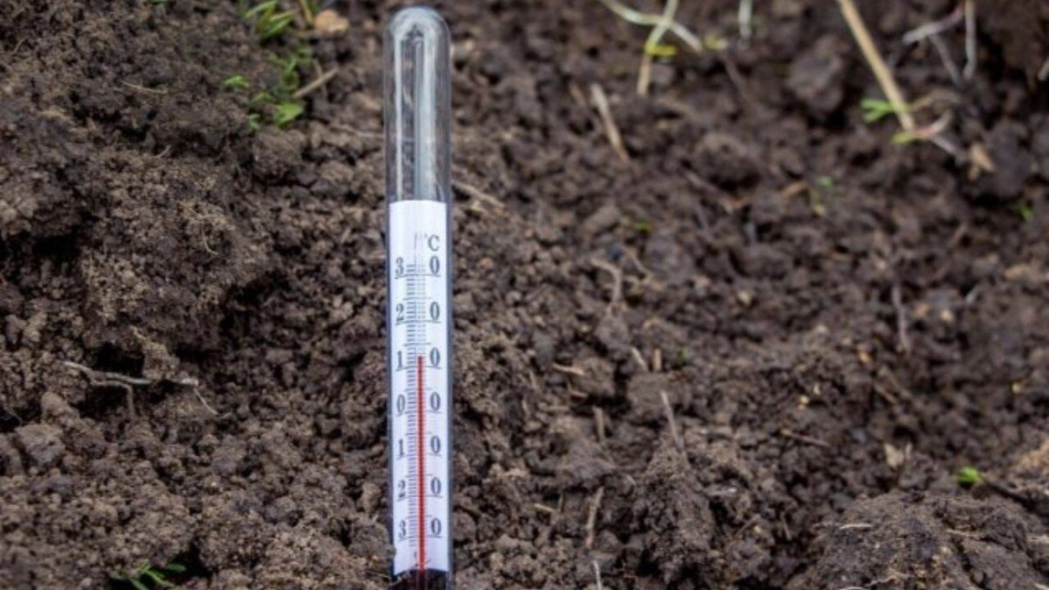 Când se plantează roșiile în solarul neîncălzit? Iată ce trebuie să știi pentru o recoltă bogată și sănătoasă