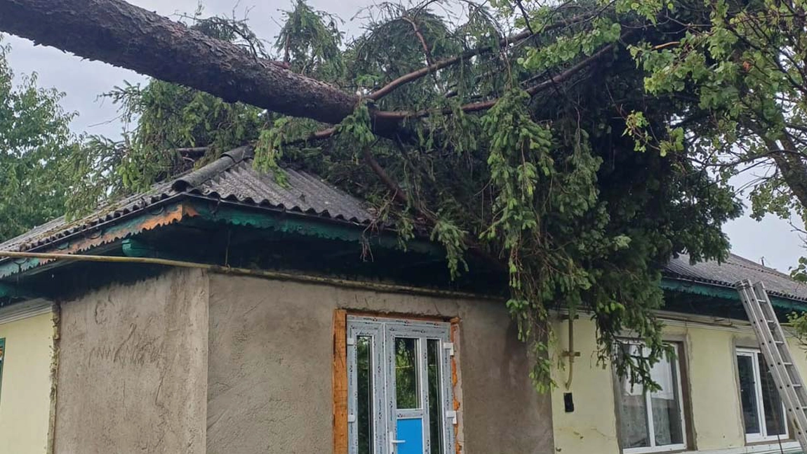 Copac prăbușit peste o casă și circulație blocată în Ciohorăni. Pompierii intervin