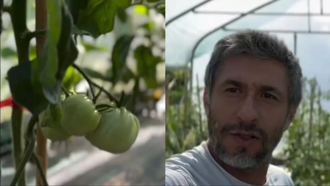Dragoș Bucur și-a prezentat culturile de legume din grădină. Ce probleme a întâmpinat la roșii și castraveți