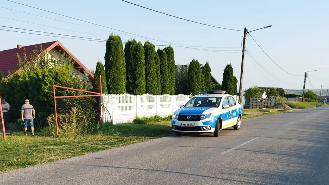 Un animal sălbatic a fost surprins în Suceava. Jandarmeria face apel la populație