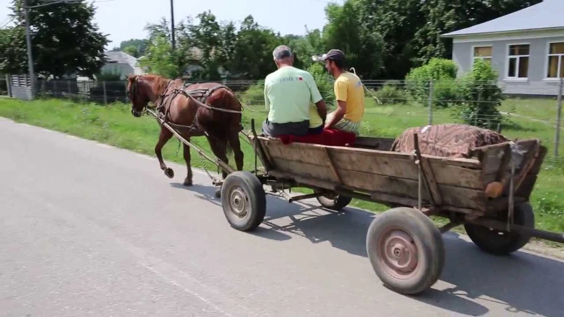 O nouă lege pentru românii de la sate! Ce obligație au cetățenii care circulă cu căruța!