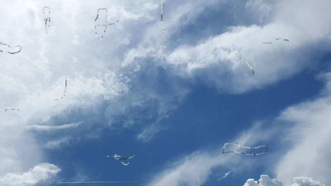 Cum poți trata miodezopsiile? Iată din ce cauze apar și ce opțiuni de tratament naturist există