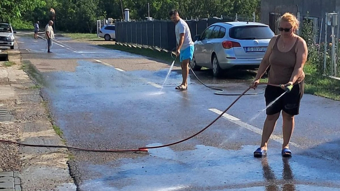 Ce se întâmplă la marginea Iașului întrece orice imaginație. Localnicii sunt terorizați zilnic. „Au ajuns până în stația de autobuz, iar noi am spălat după ele”