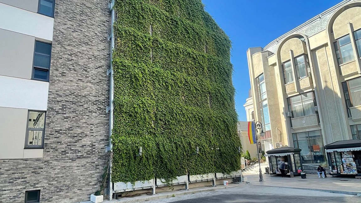 UMF Iași aduce natura în oraș: Policlinica de Stomatologie Pediatrică are acum un perete verde cu iederă