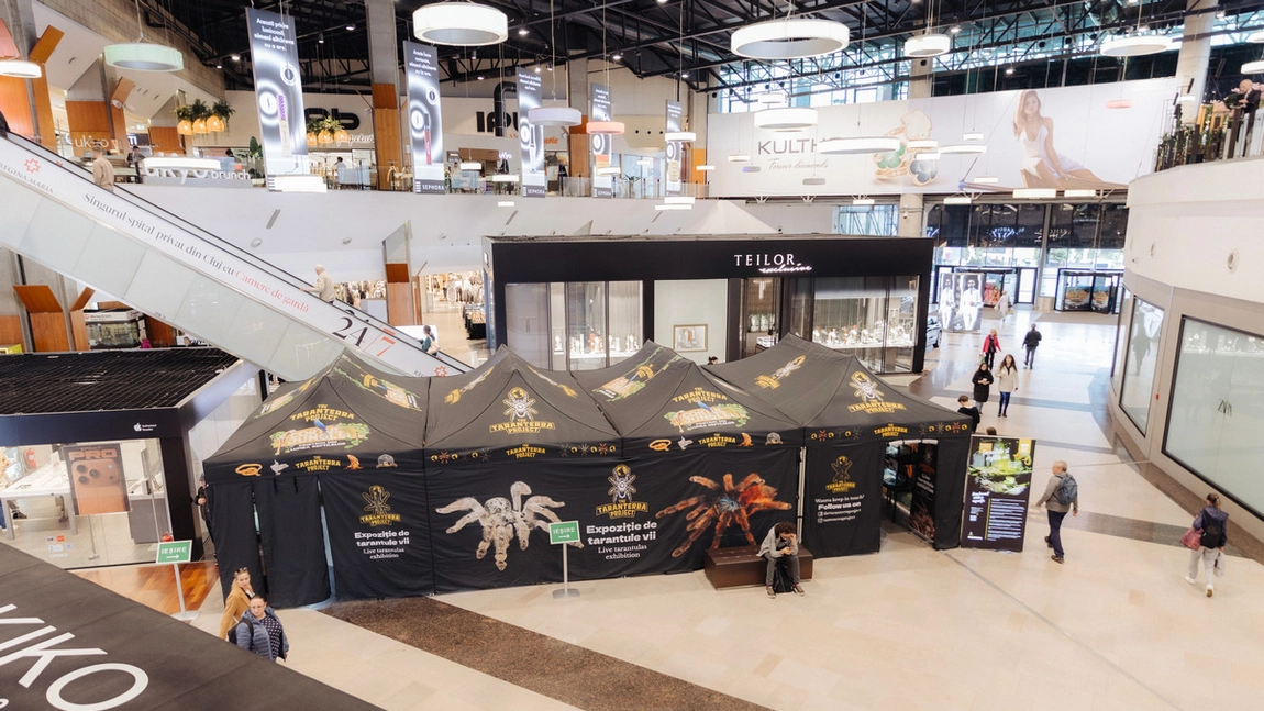 La Iulius Mall Cluj, expoziția educativă Taranterra te invită în lumea exotică a celor 70 de exemplare de reptile și tarantule vii
