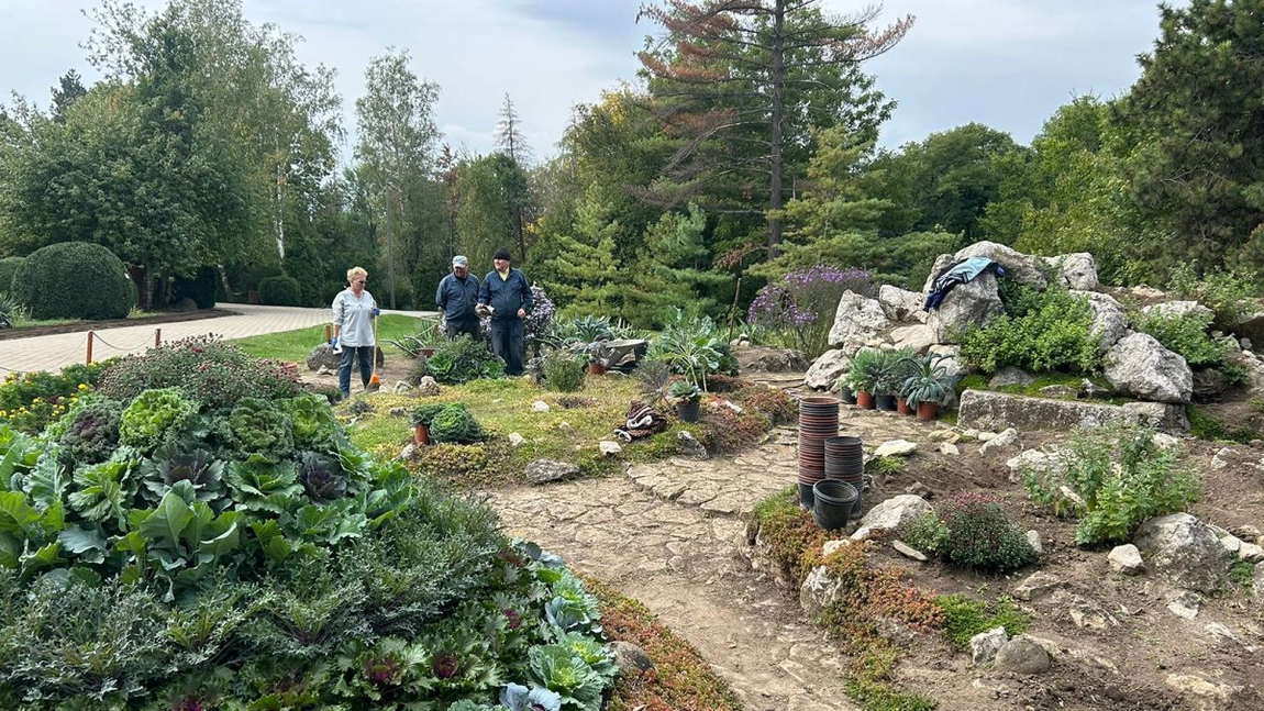 Au început pregătirile pentru cea mai frumoasă expoziție de toamnă din Iași, organizată în Grădina Botanică „Anastasie Fătu”. Iată perioada în care va avea loc