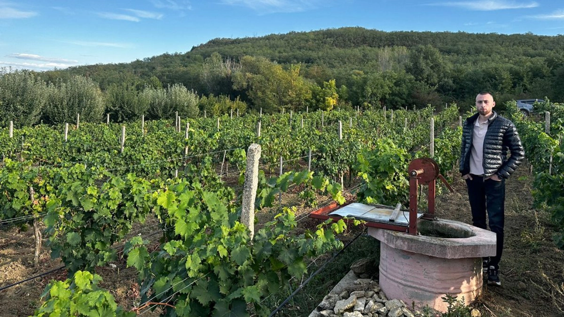 Un tânăr din Iași, în vârstă de 22 de ani, vrea să dea lovitura în afaceri cu o plantație de viță-de-vie: „Vreau să măresc suprafața”